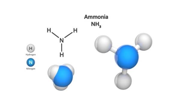 Perigos da amonia nos frigorificos formula
